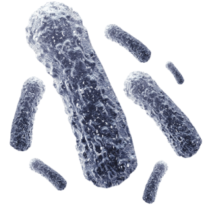 Bacteria PNG-43399